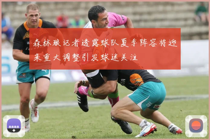 森林狼记者透露球队夏季阵容将迎来重大调整引发球迷关注